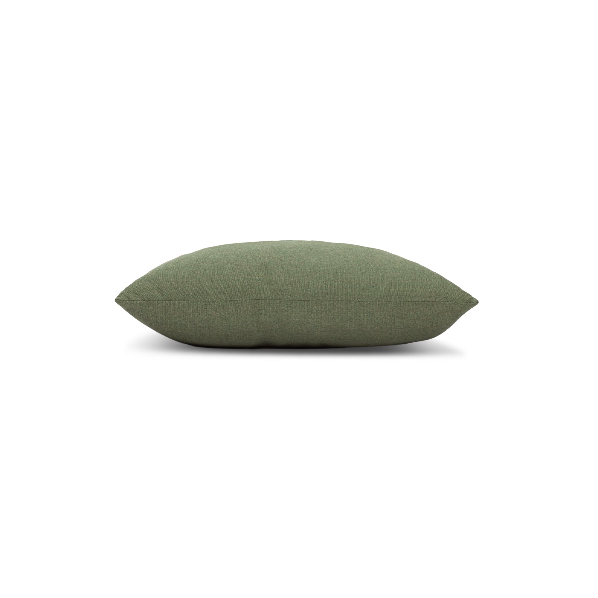 Canvas Fern Essentials | 17"x17"