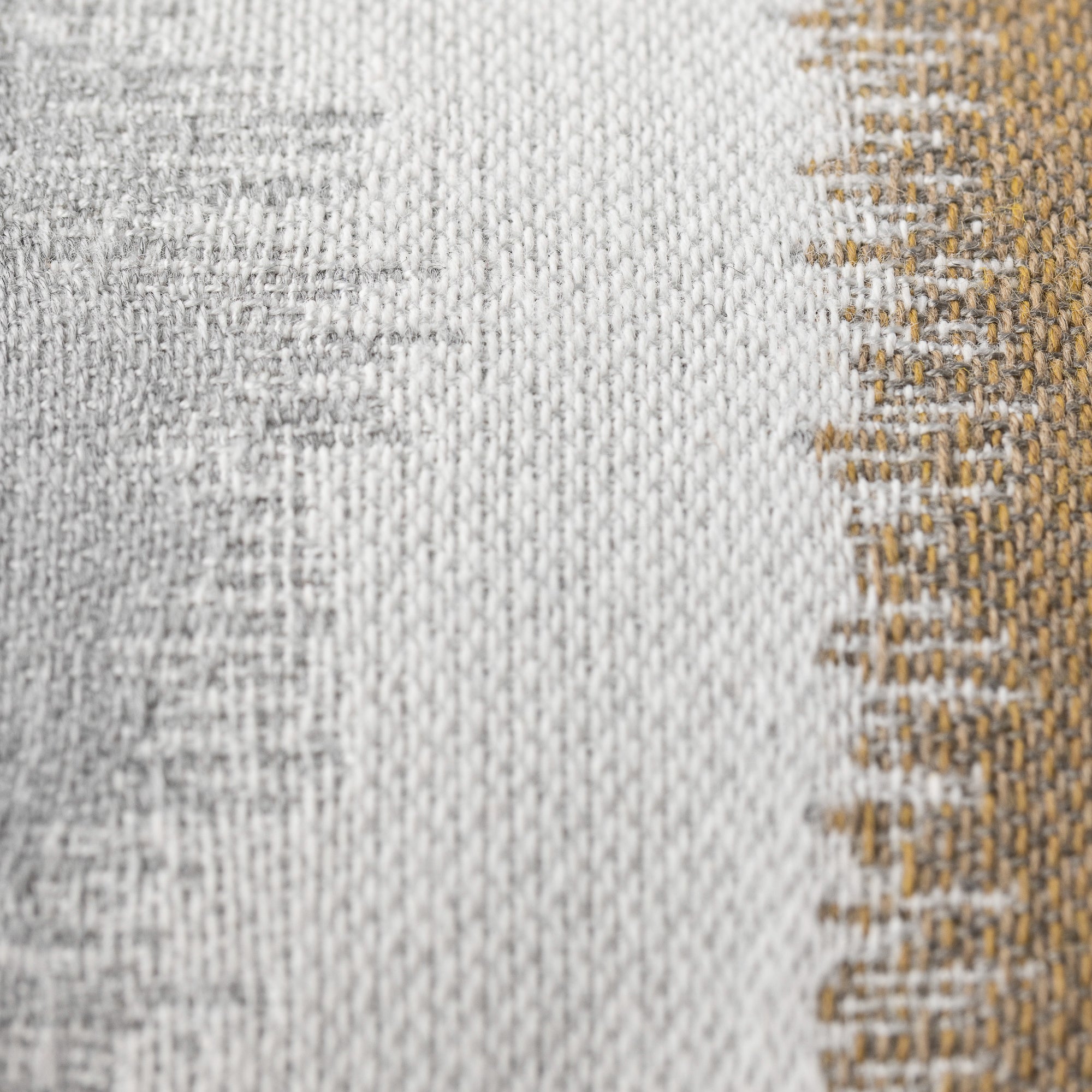 Murmur Camel | 12"x20"