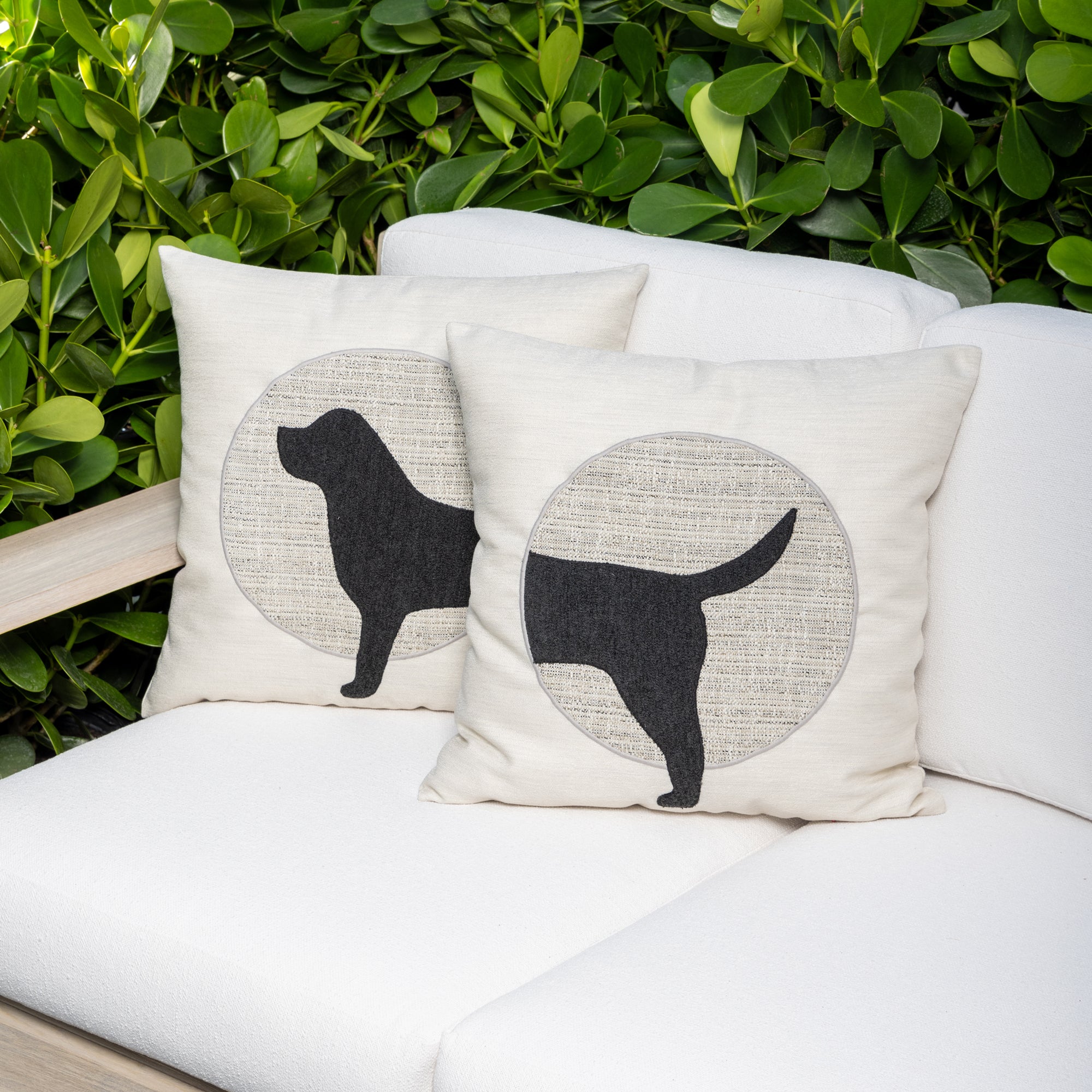 Unconditional Woof (Tail) | 20"x20"
