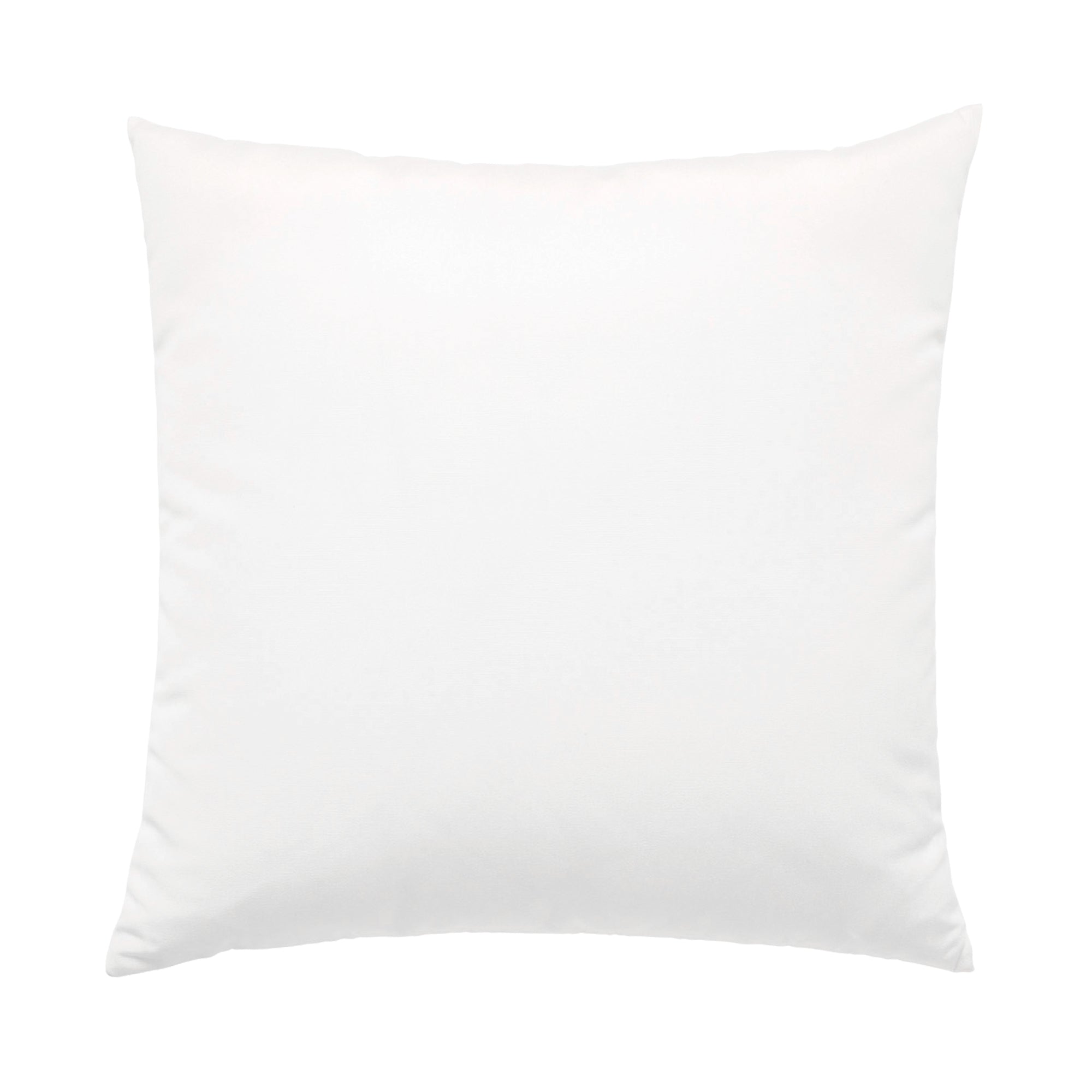 Pillow Insert 22" x 22"