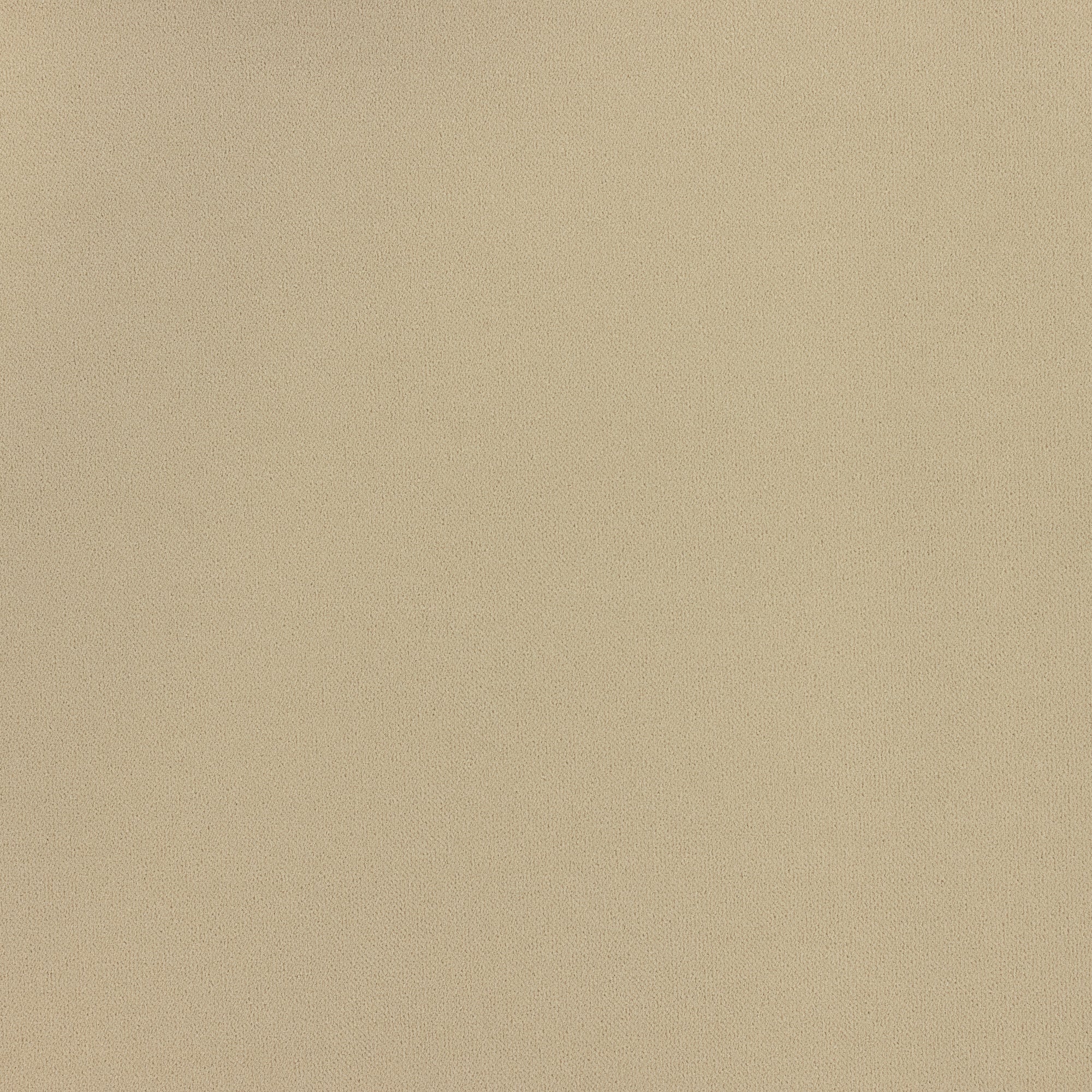 Detail image of Honey-gold velvet textured outdoor safe woven fabric