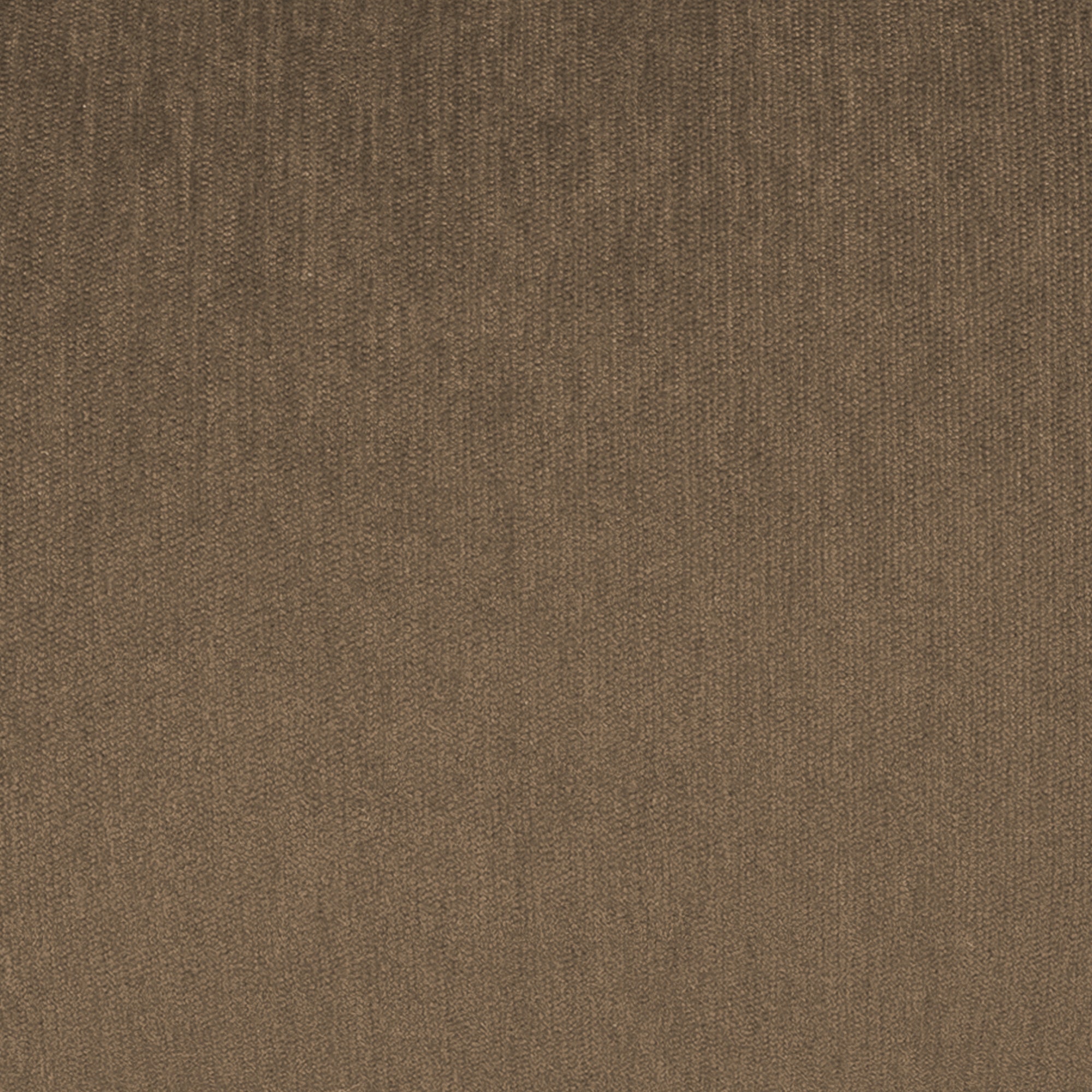 SWATCH-Lustre Shale