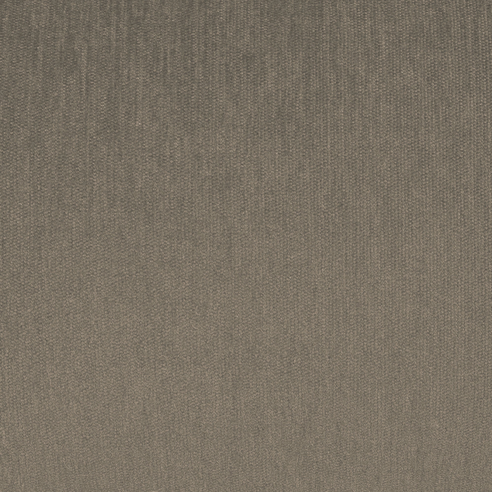 SWATCH-Lustre Pumice